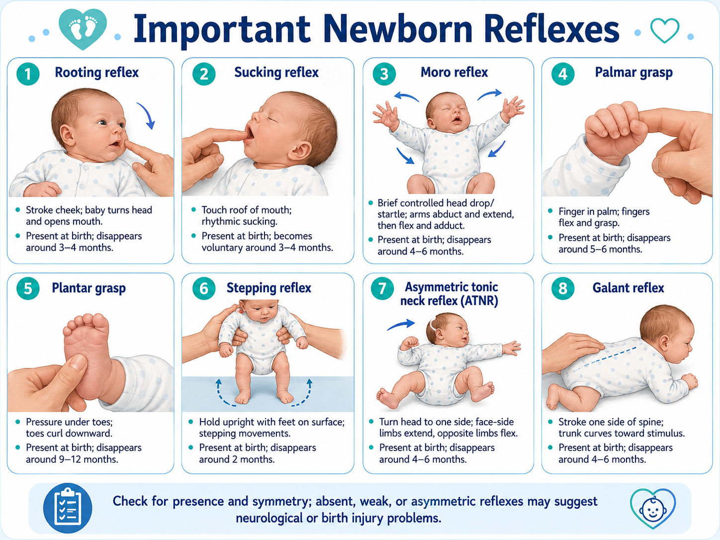 Important newborn primitive reflexes